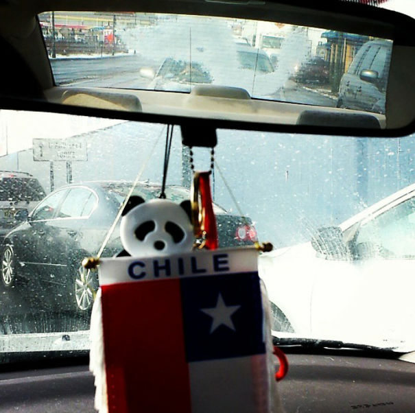 Snow Elephant In My Rear Window