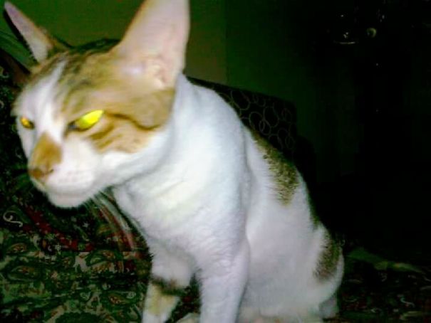 "horror In The Darkness"-caught On Candid Camera