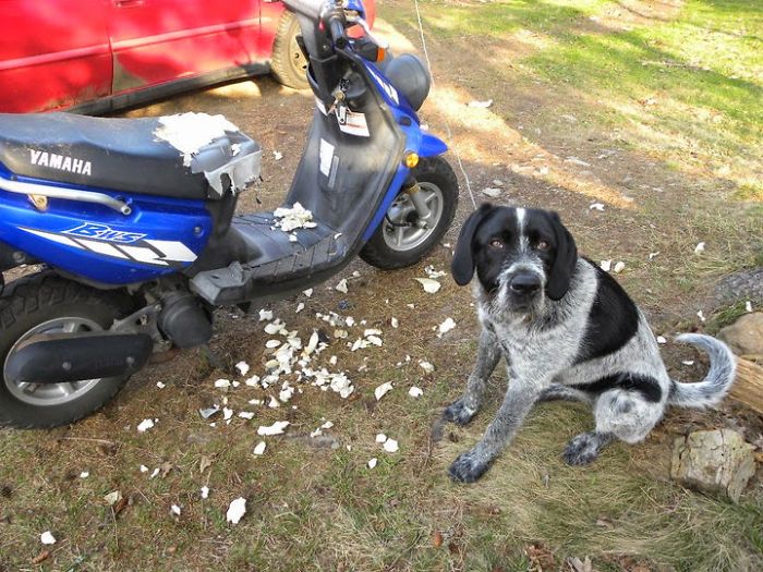 That Was Good. Do You Have Another?