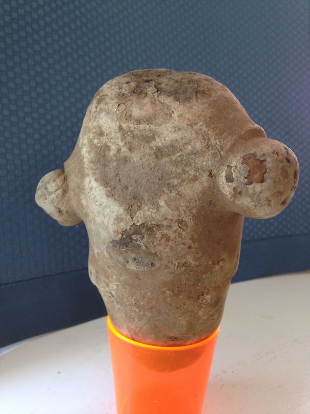 Admiral Akbar Potato