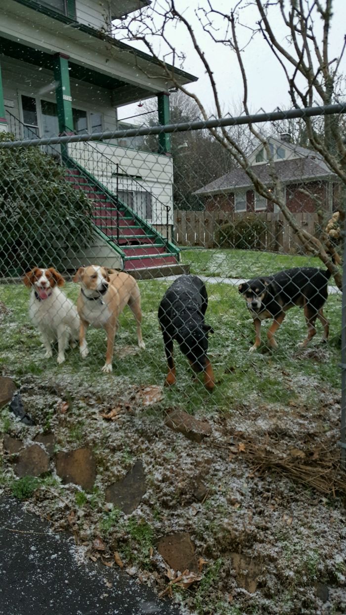 Waiting While We Check The Mail