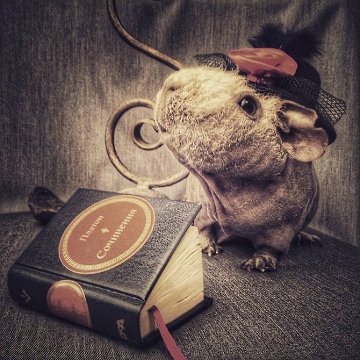 I Photographed A Skinny Model Using My Mobile Phone Camera