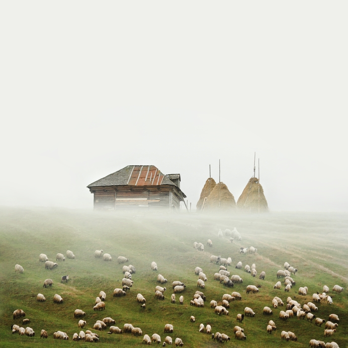 I Made Surreal Collages Featuring Home Architecture In Romania