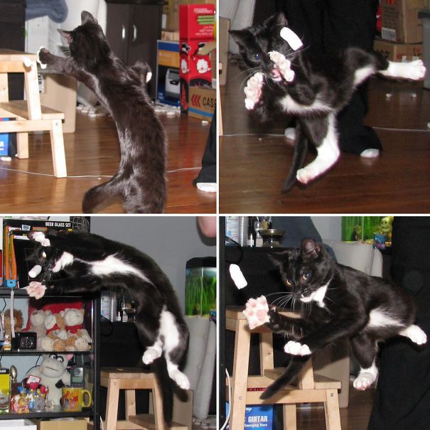 Trying To Rid The World Of Packing Noodles...