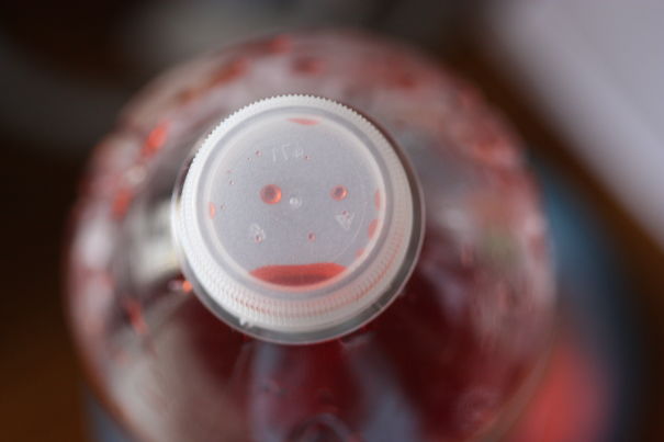 The Face In My Crystal Light