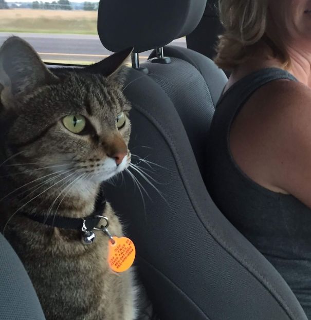 Silently Road Raging