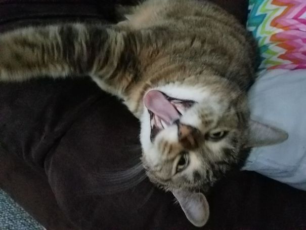 What Do You Want!!!!!