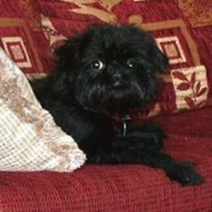 itzallconnected avatar