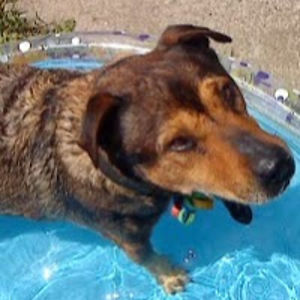 kathleendonaldson avatar