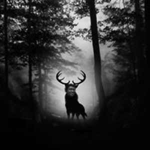 keanu_cyclone avatar