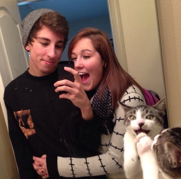 Funny Cat Photobombs