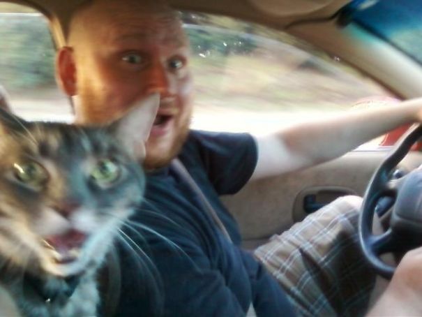 Funny Cat Photobombs