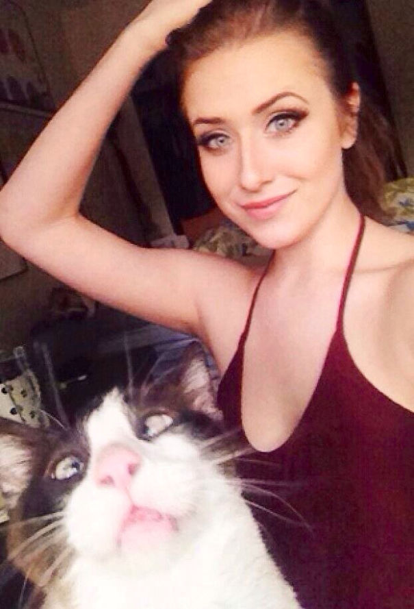 Funny Cat Photobombs