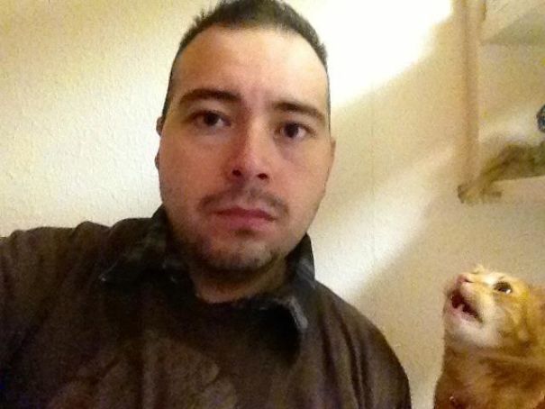 Funny Cat Photobombs