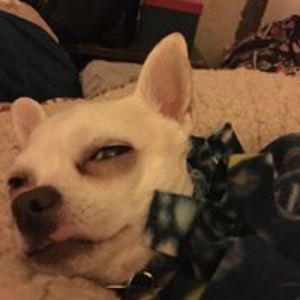 michellehinds46 avatar