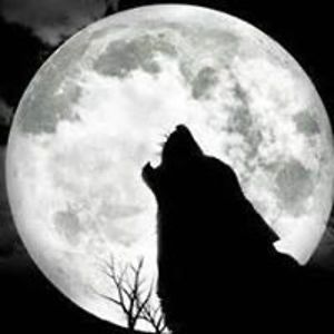 michaeleugeneblizzard avatar