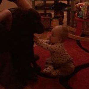 lemtaylor1983 avatar