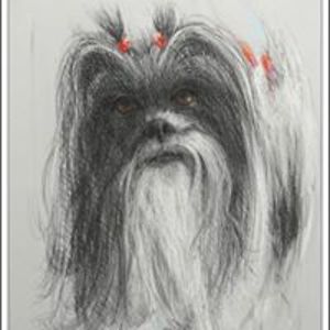 haleygirl7257 avatar