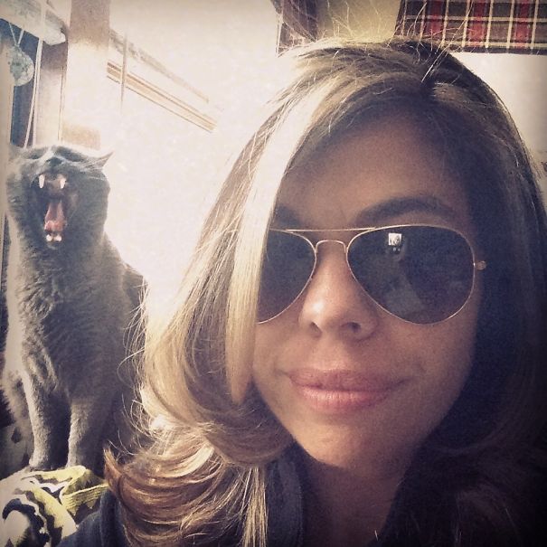 Funny Cat Photobombs