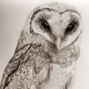 ajka_malinovska avatar