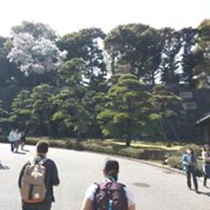 annettatron15 avatar