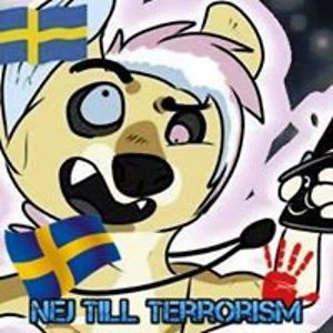 scerek_sterek avatar