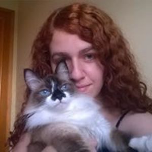 tha_bitter_court avatar