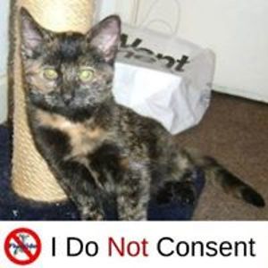 cyclohexanone2002 avatar