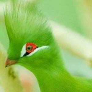 espublicaddress avatar