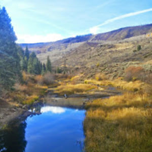 richardbrooks avatar