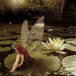 jasmin_krapp2 avatar