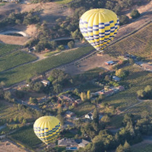 jennrynkiewicz avatar