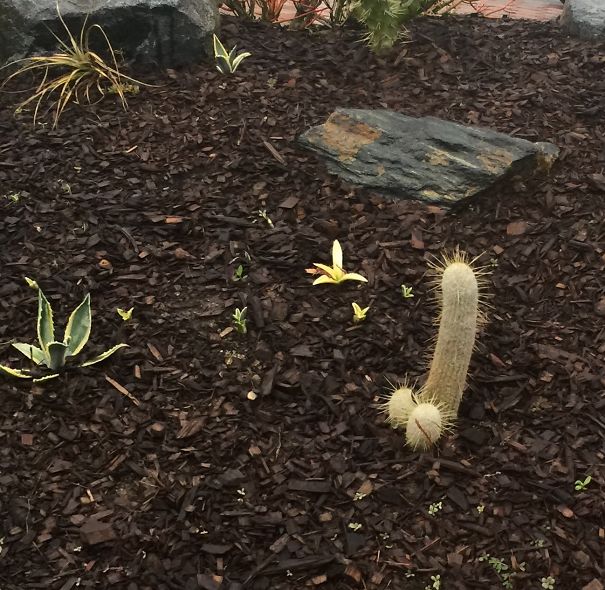 My Wife Took This Picture And Has Been Sending It Out And Laughing About It For 3 Hours