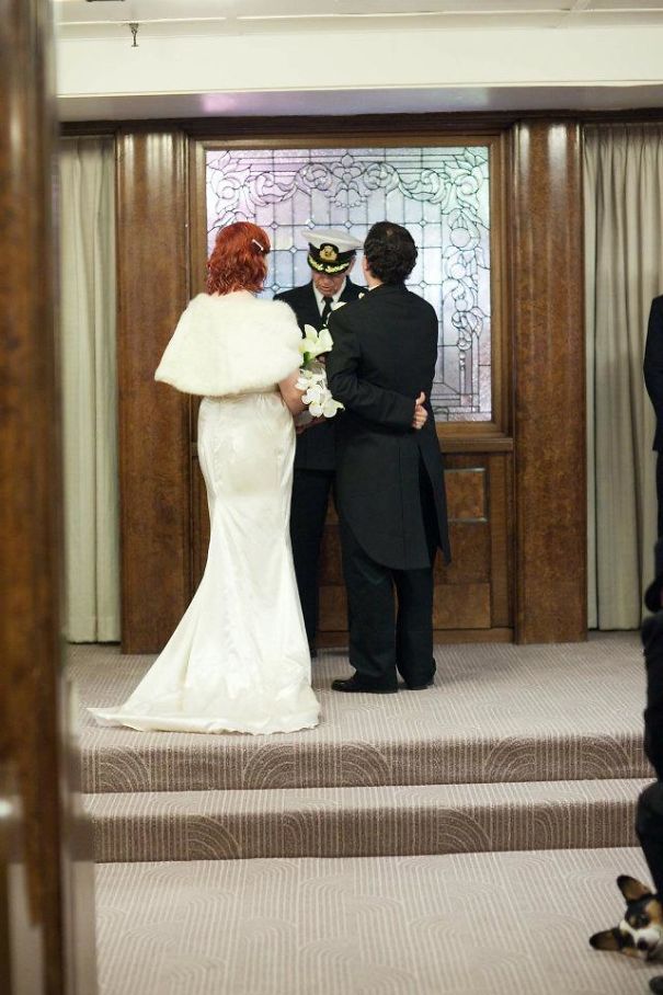 Funny Dog Photobombs