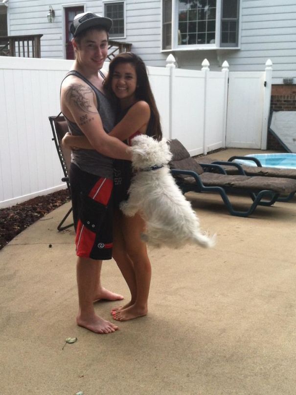 Funny Dog Photobombs