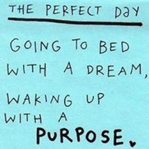 secondwindadopt avatar