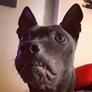 amandacatherinelove avatar