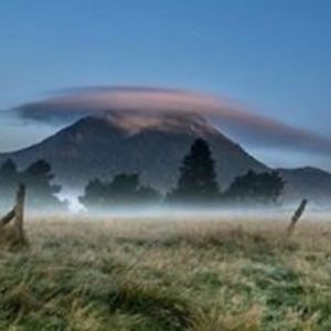 alineboukortt avatar