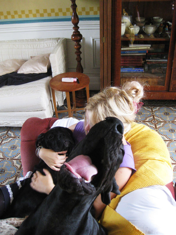 Funny Dog Photobombs