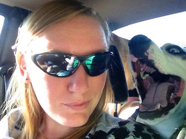 Funny Dog Photobombs