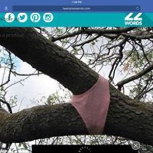 oldestnavikat avatar