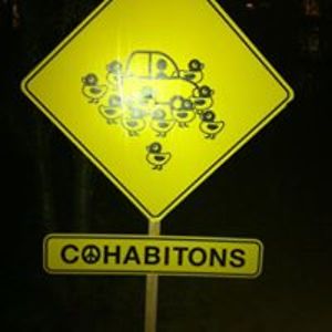 annamaria_mosetto avatar