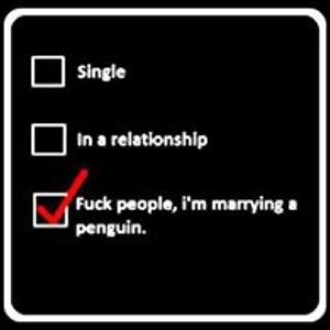 krystal_letendre avatar