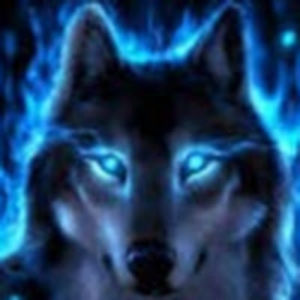 jacksonclemmer avatar