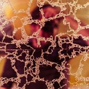 jordi_trenzano avatar