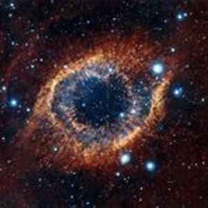 hoang_linh1985 avatar