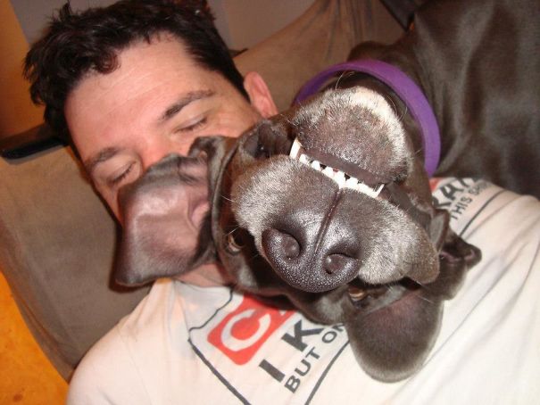 Funny Dog Photobombs