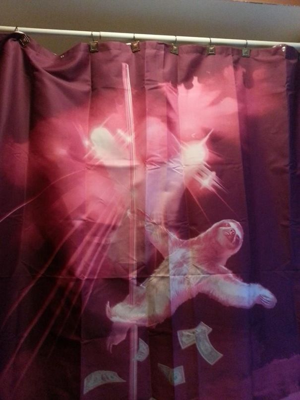 Sometimes Late Night Drunken Amazon Purchases Are A Good Idea