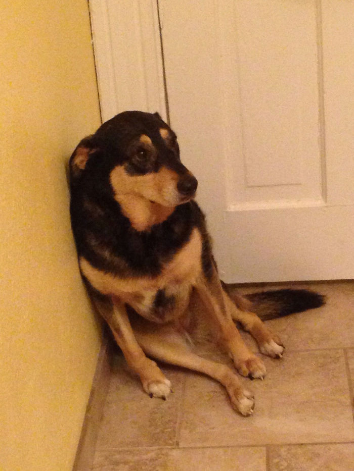 We Closed The Door. I Think She Knows It's Bath Time
