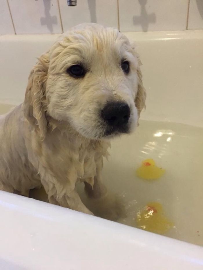 First Bath